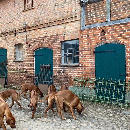 Bauernhof-Streichel-Zoo-&-Reiter-Suite Gulow Exterior foto