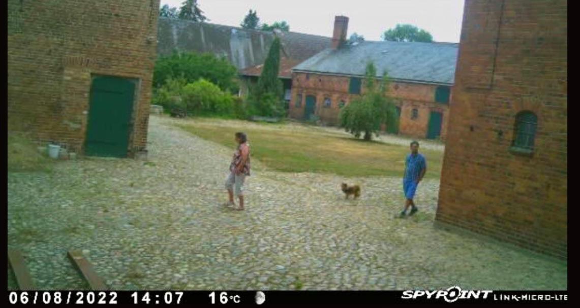Bauernhof-Streichel-Zoo-&-Reiter-Suite Gulow Exterior foto